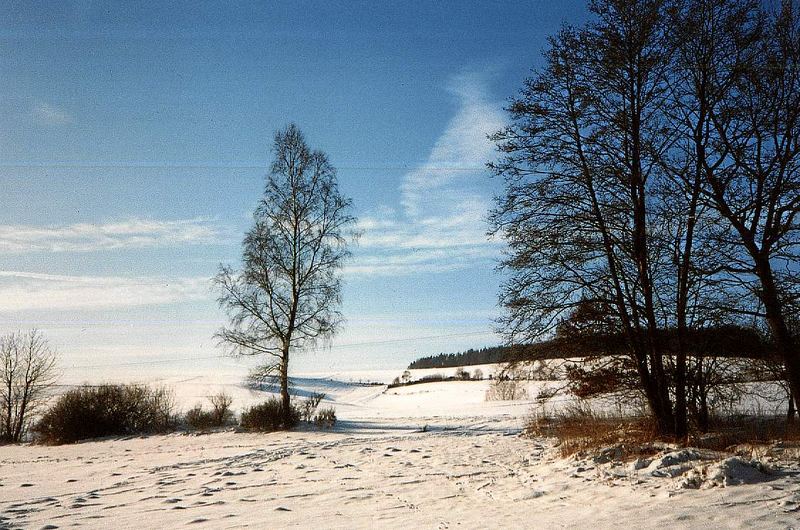 Winter in Burgwald - Es war einmal ...!