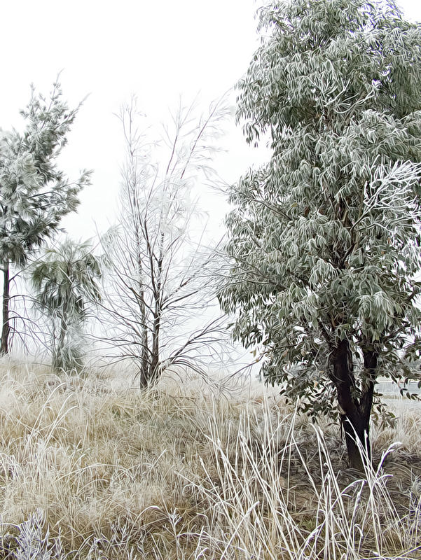 Winter in Canberra