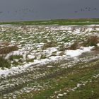 Winter in Carolinensiel-Harlesiel