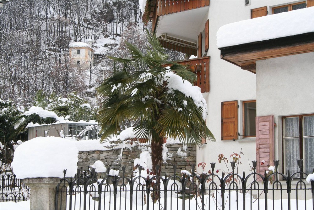 Winter in Castasegna, Bergell Graubünden