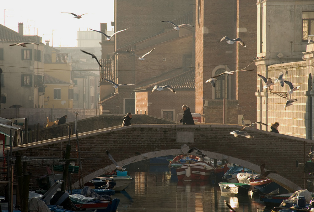 Winter in Chioggia