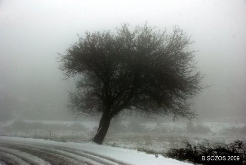 Winter in Corfu