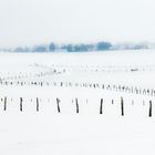 winter in Crendal L-9743 Luxembourg (c) gilles wunsch