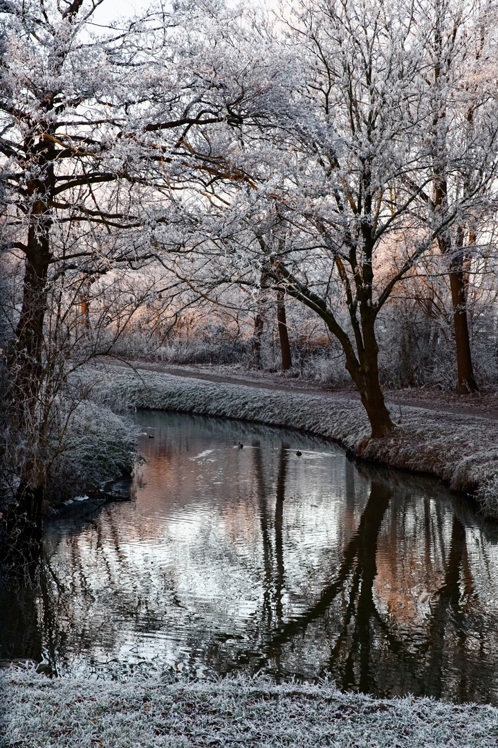 Winter in Delmenhorst