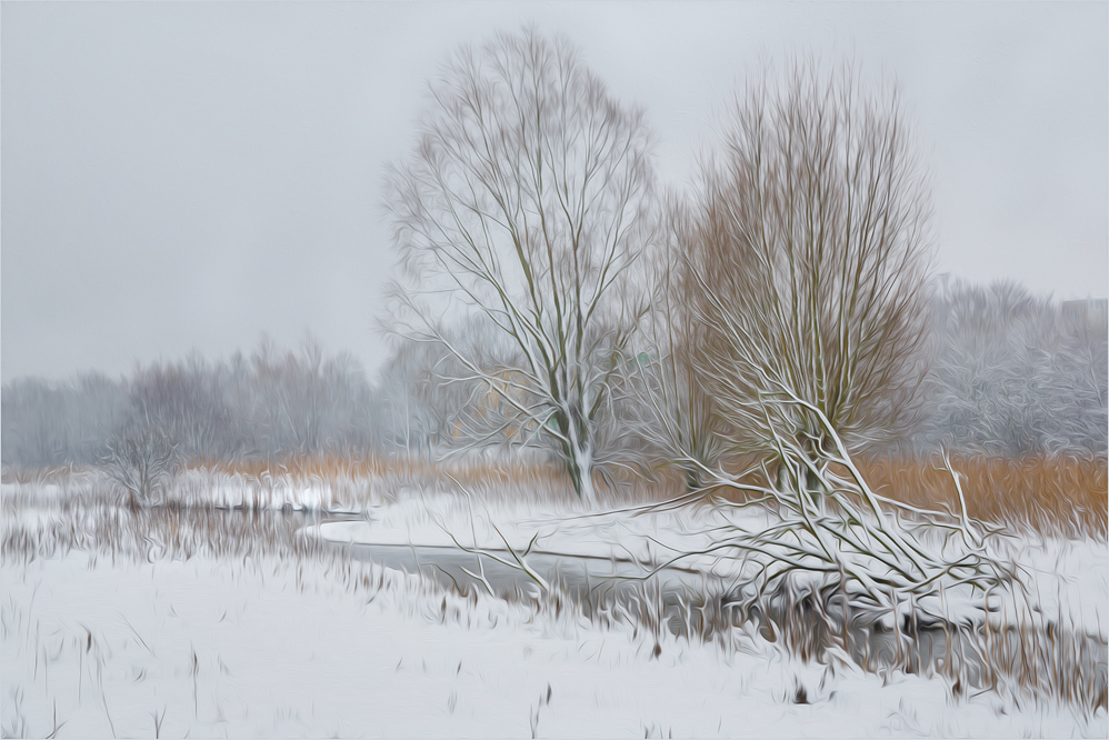 Winter in den Aa-Auen