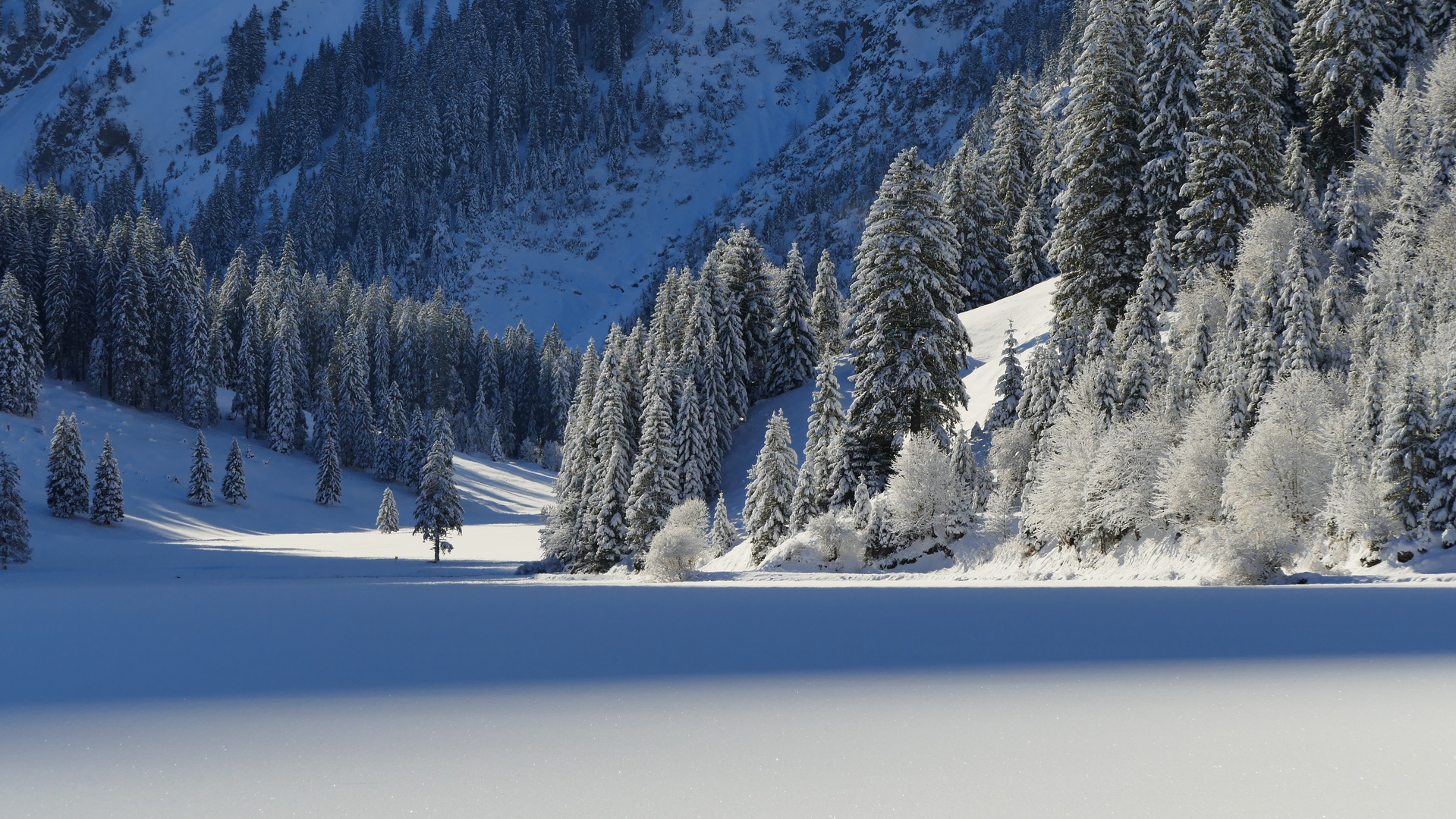 Winter in den Alpen Foto & Bild kalt, tannen, bäume Bilder auf
