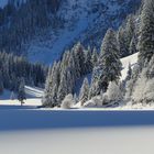 Winter in den Alpen