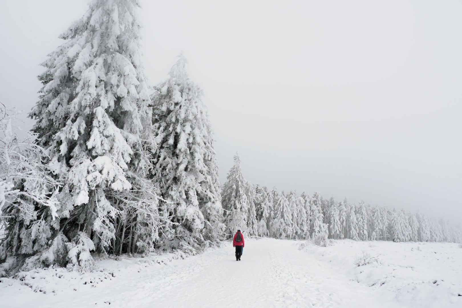 Winter in den Ardennen