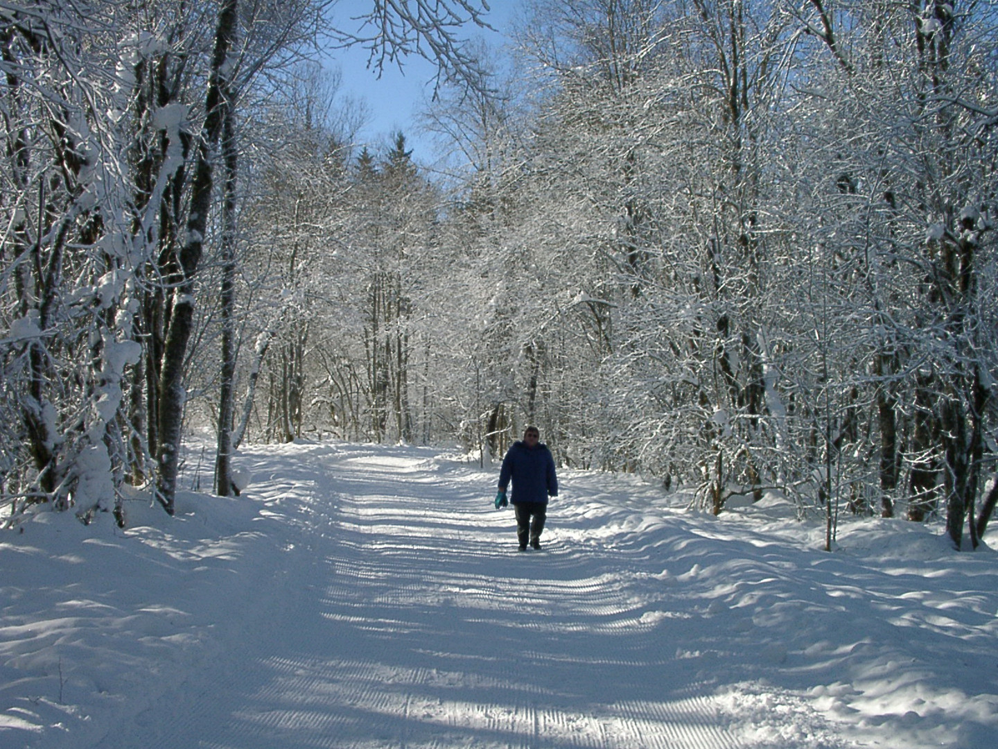 Winter in den Bergen