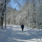 Winter in den Bergen