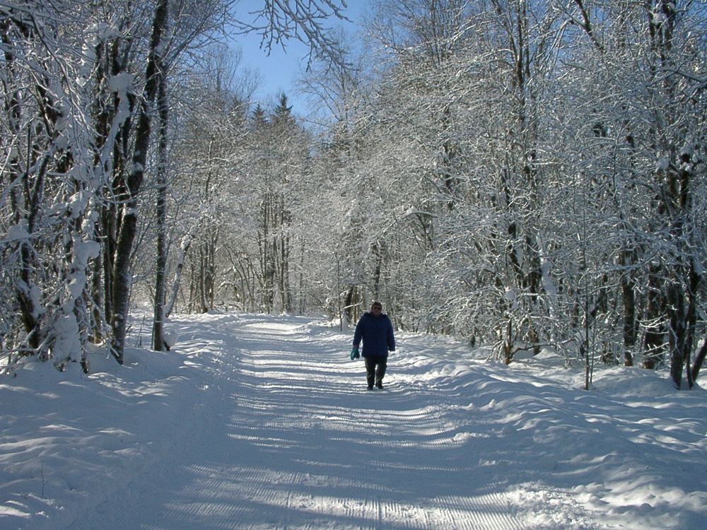 Winter in den Bergen von HM-Immo 
