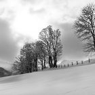 Winter in den Bergen