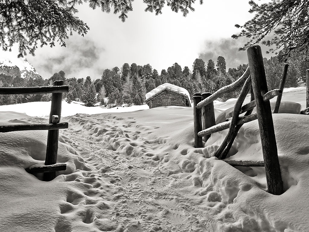 Winter in den Bergen