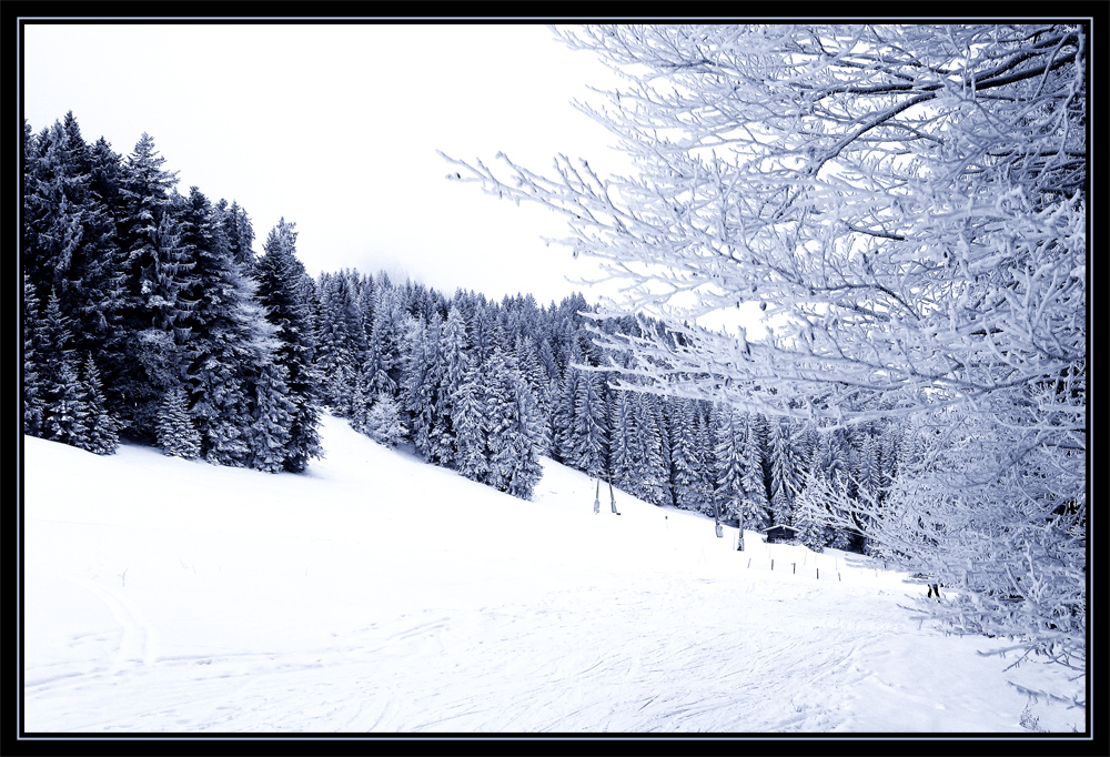 Winter in den Bergen