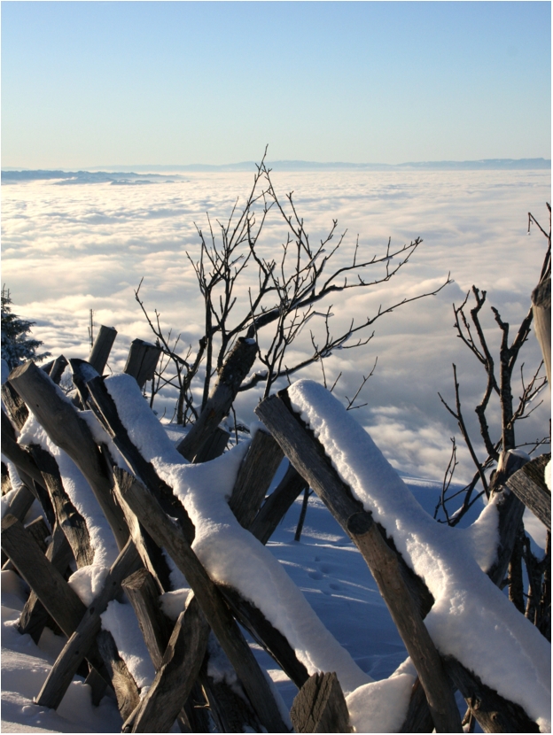 Winter in den Bergen