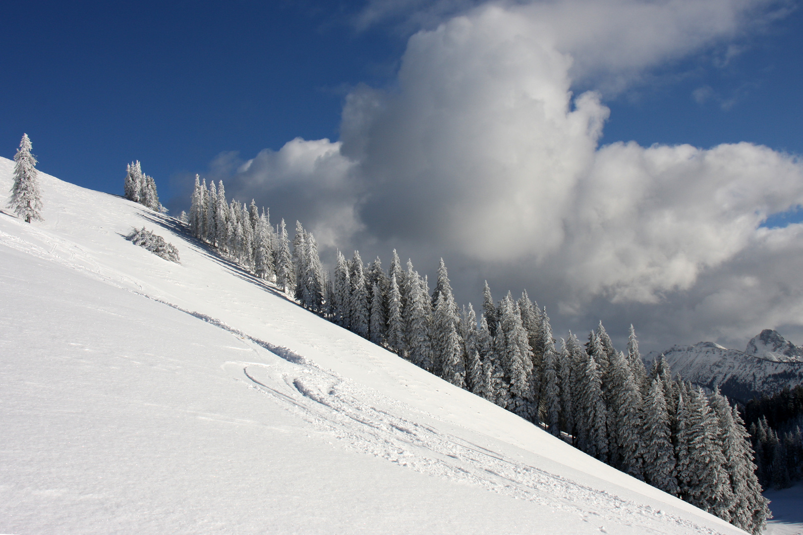 Winter in den Bergen