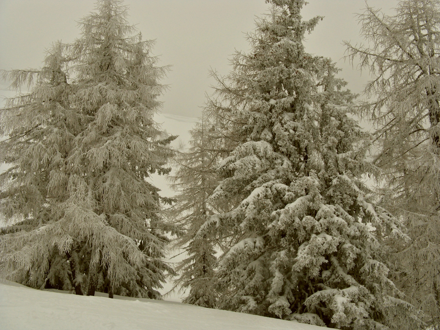 Winter in den Bergen