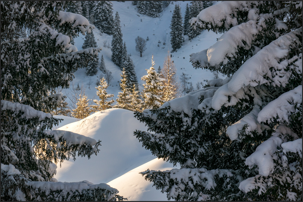 Winter in den Bergen ....