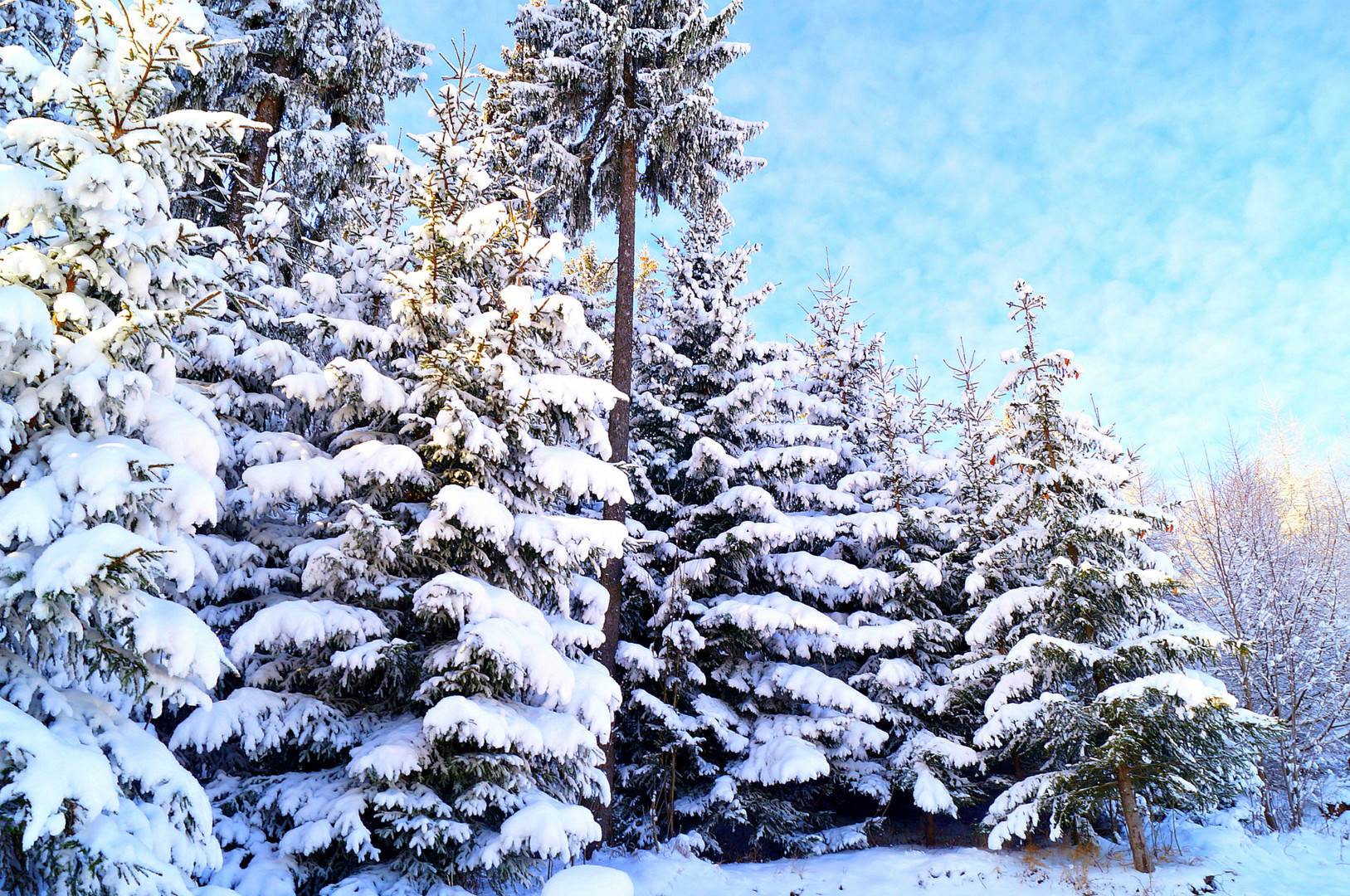 Winter in den Bergen