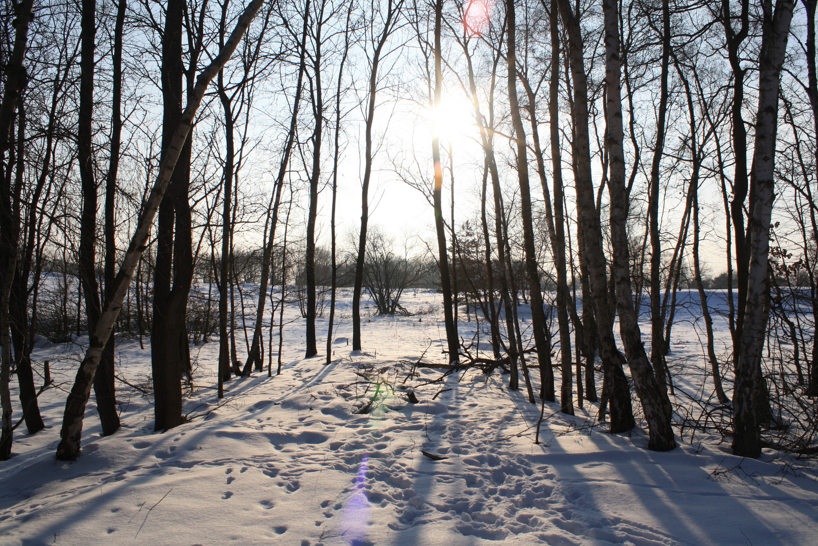 Winter in den Boberger Dünen