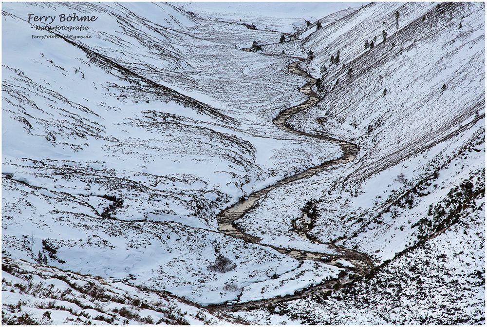 Winter in den Cairngorms