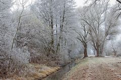  Winter in den Dorfwiesen