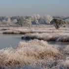 Winter in den Dünen.