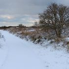 Winter in den Dünen