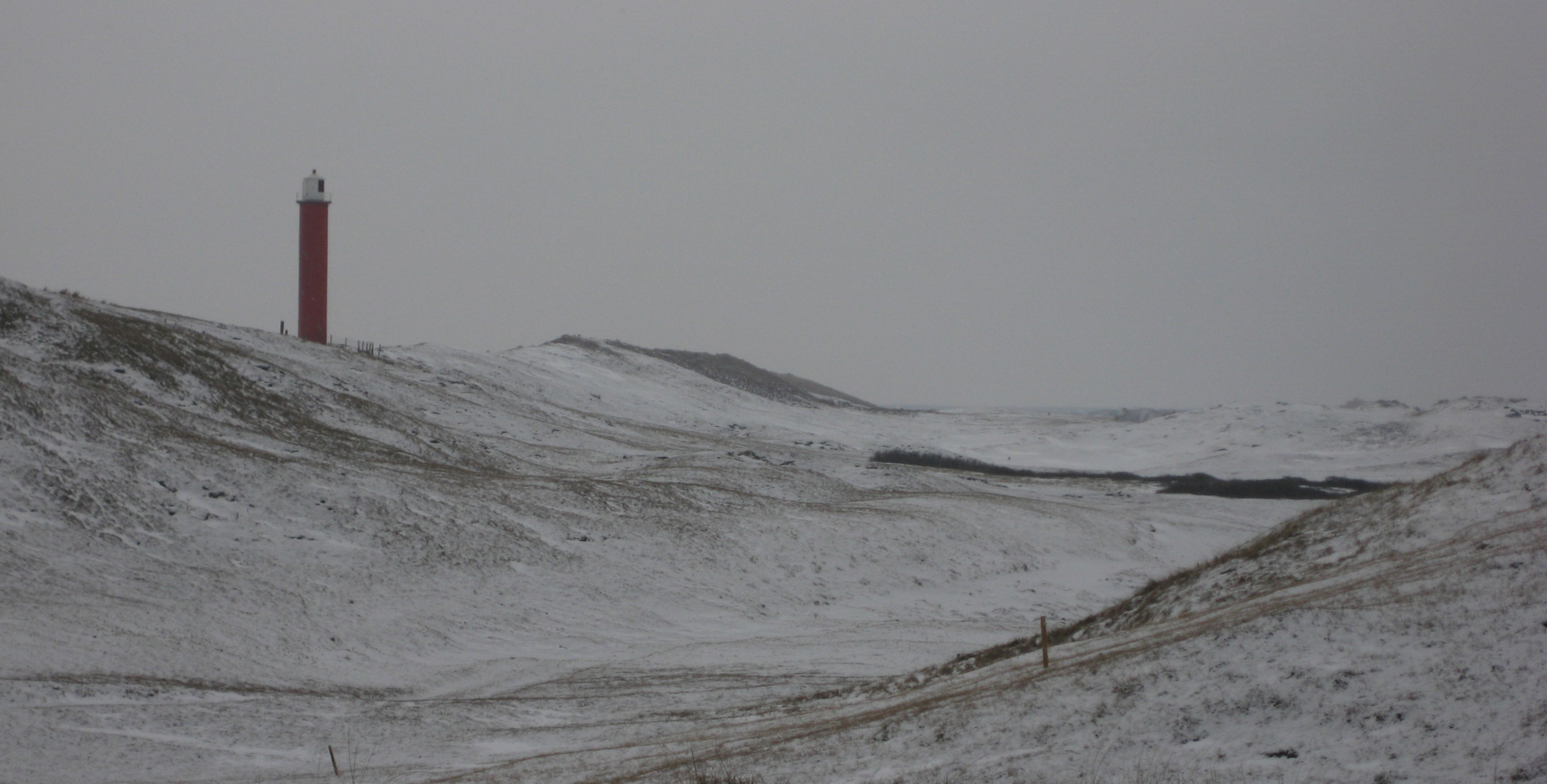 Winter in den Dünen