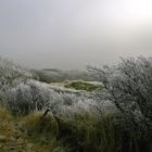 Winter in den Dünen