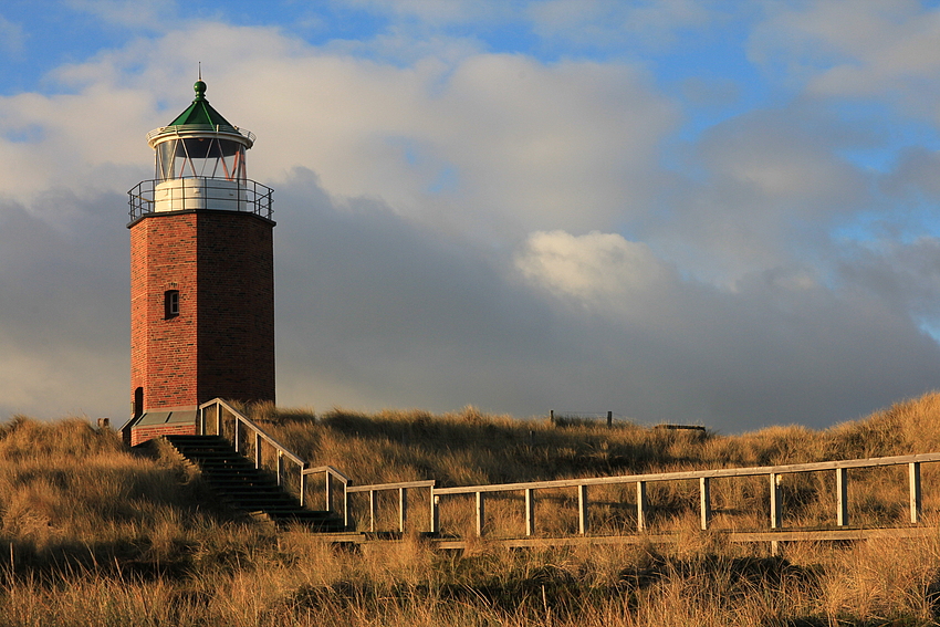 Winter in den Dünen