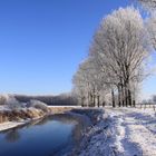 Winter in den Emsauen