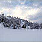 Winter in den französischen Seealpen