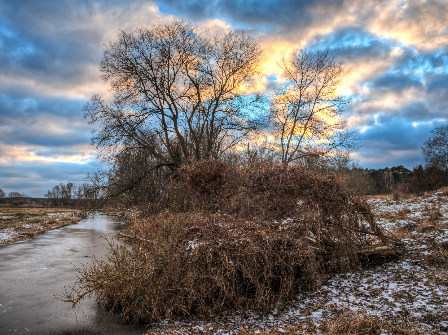 Winter in den Gosener Wiesen