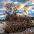 Winter in den Gosener Wiesen