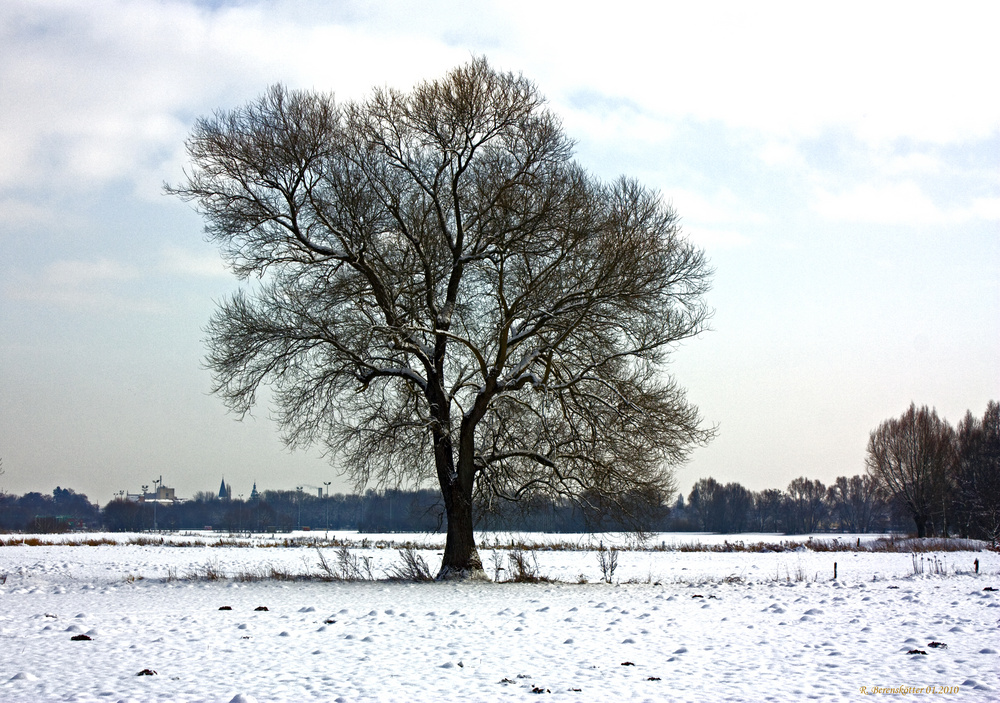 Winter in den Lippewiesen
