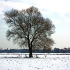 Winter in den Lippewiesen