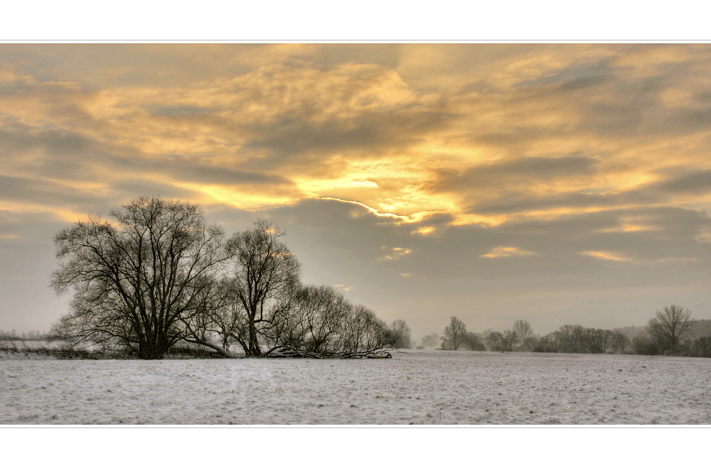 Winter in den Mainauen