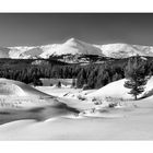 Winter in den Rocky Mountains II