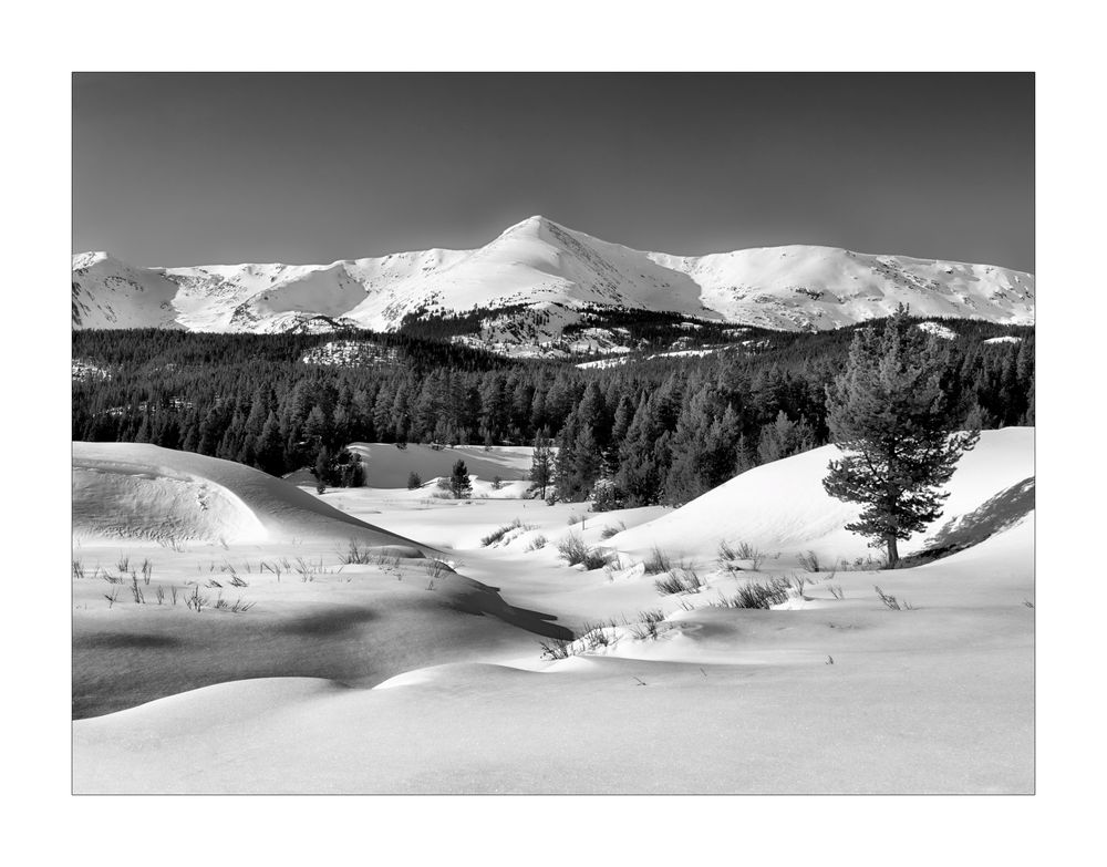 Winter in den Rocky Mountains II