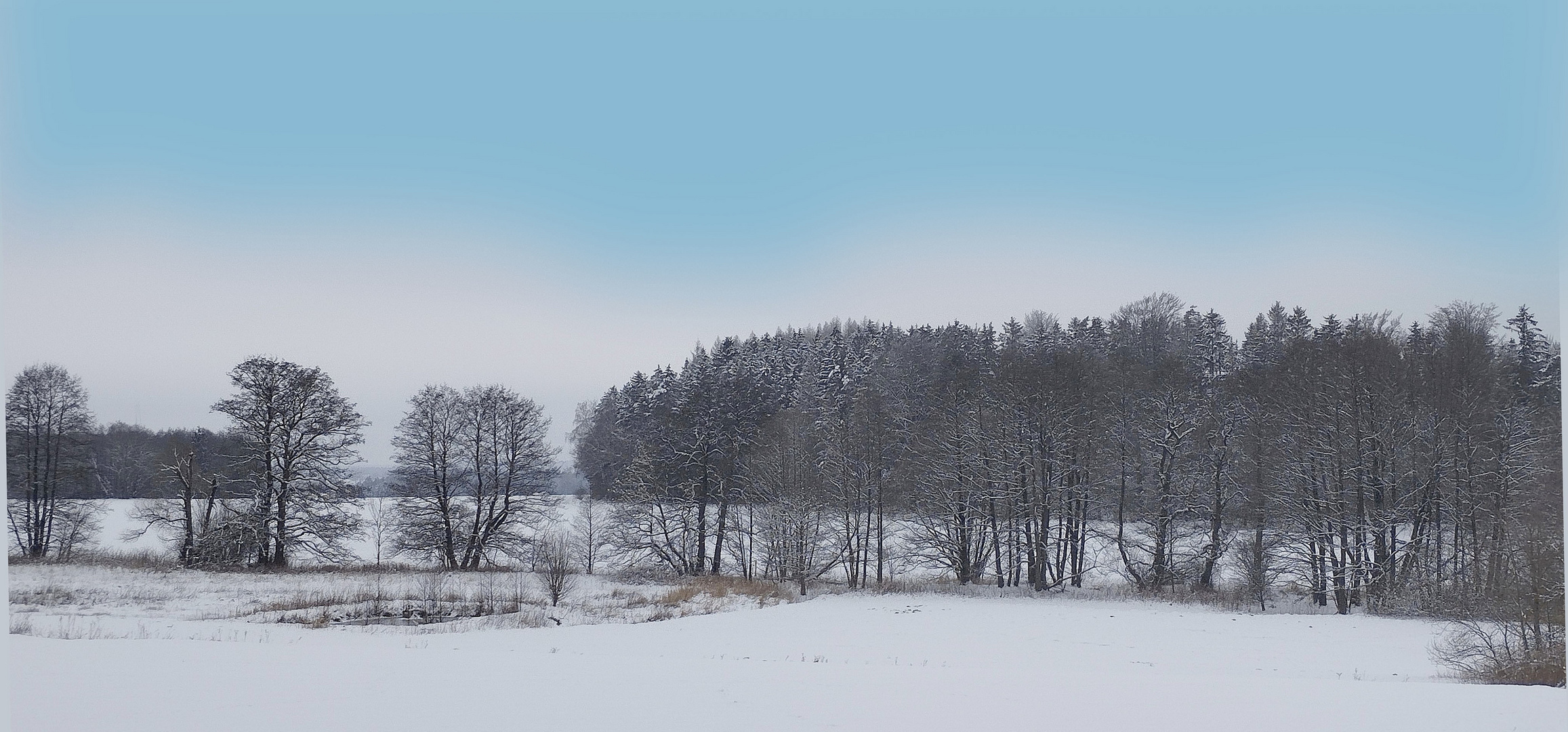 Winter in den Saaleauen