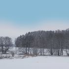 Winter in den Saaleauen