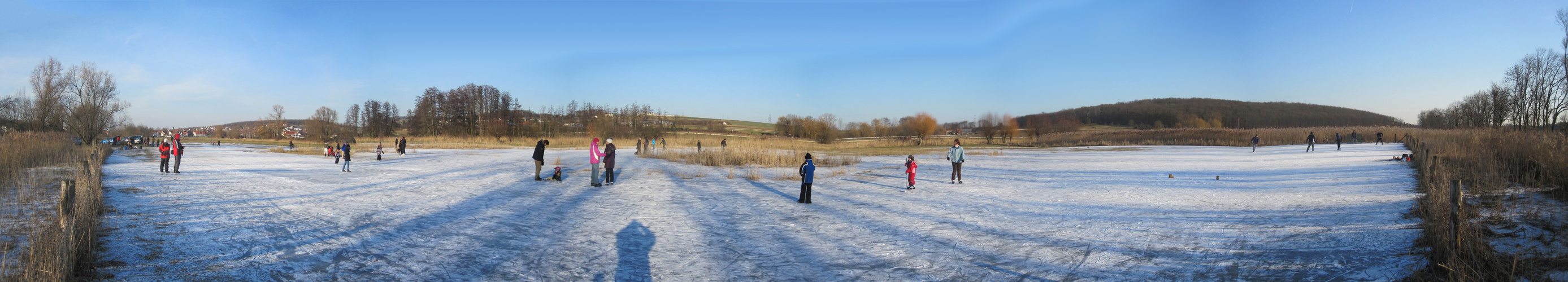 Winter in den Salzwiesen