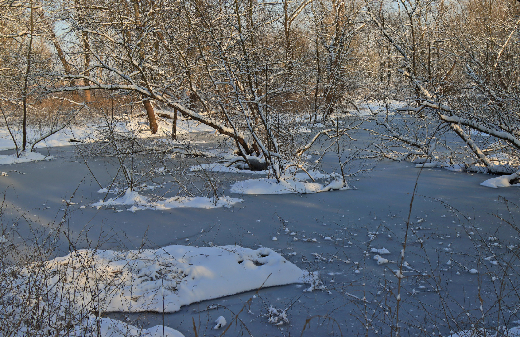 Winter in den Siegauen (4)