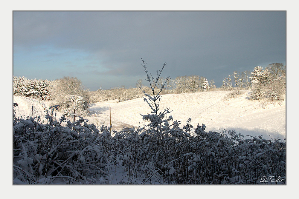 Winter in den Silberbergen bei Wriezen