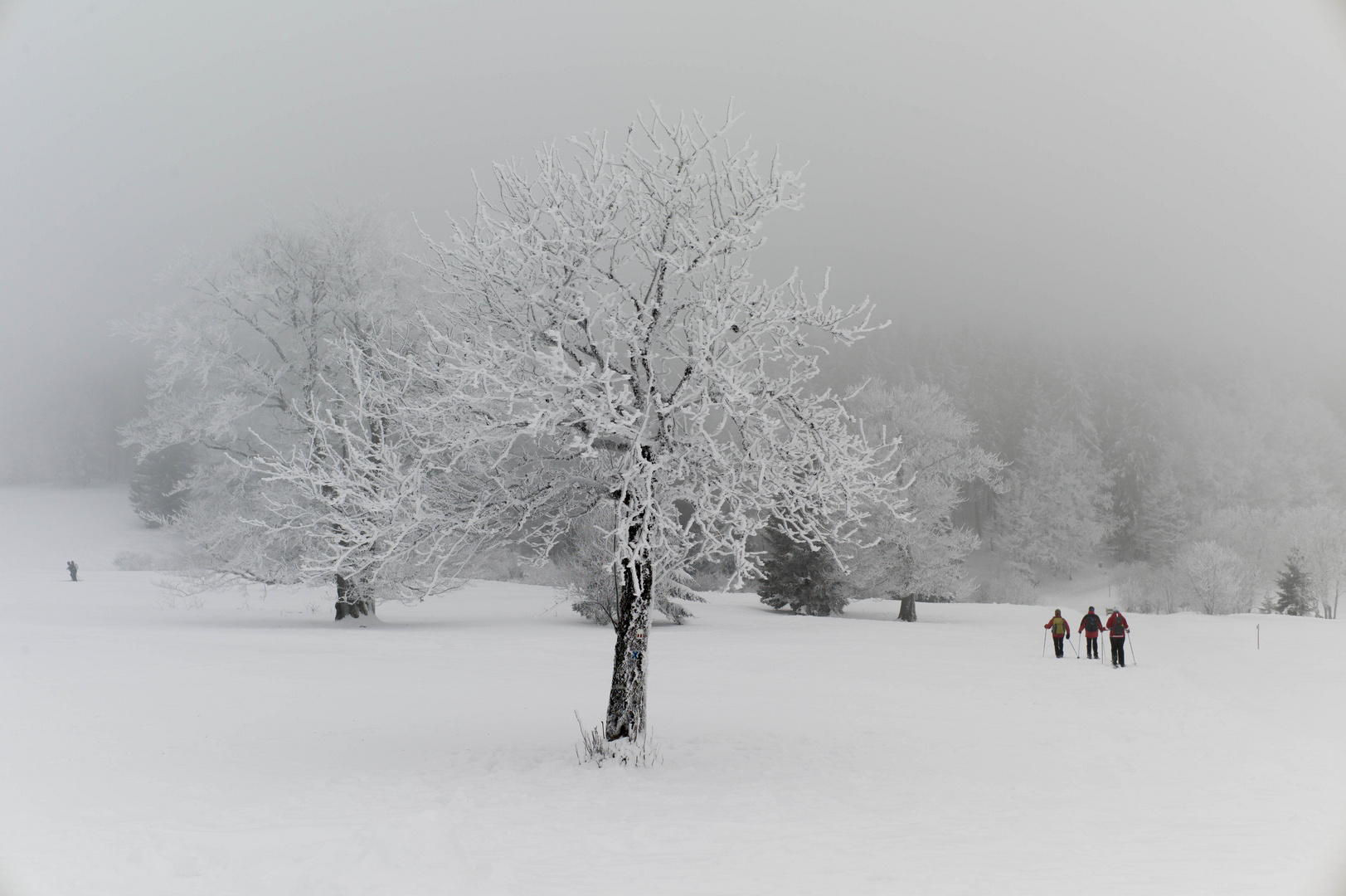 Winter in den Vogesen