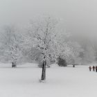 Winter in den Vogesen