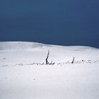 winter in den wanderdünen von leba ...