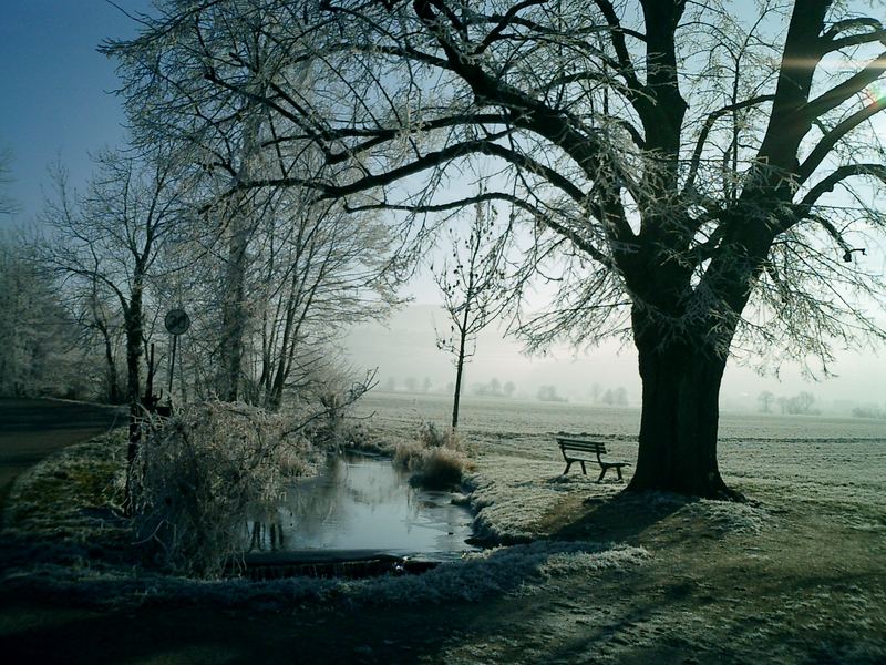 Winter in Denzlingen