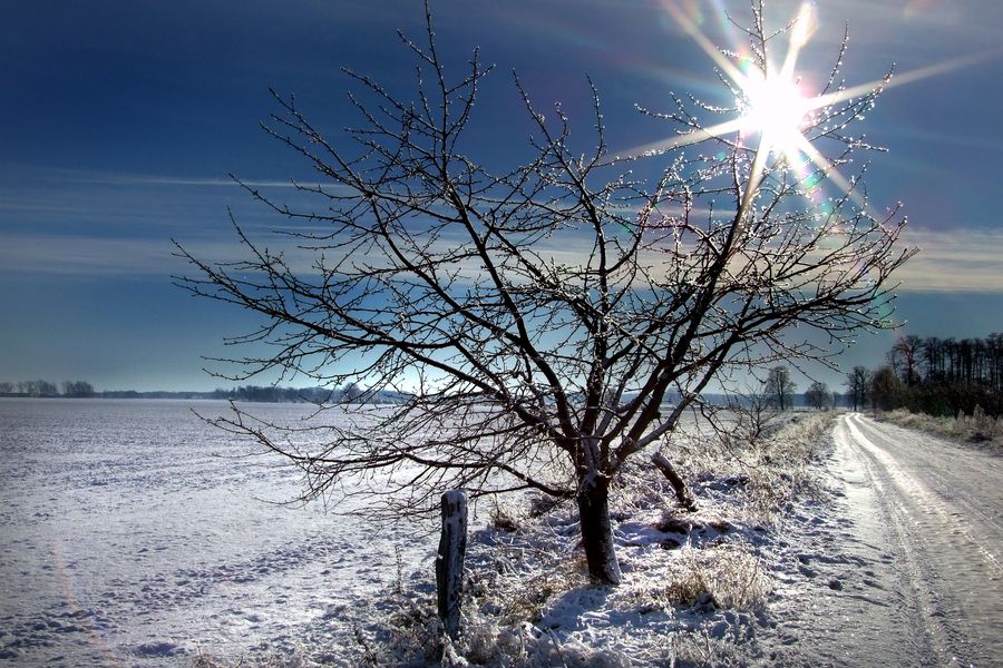 Winter in der Altmark